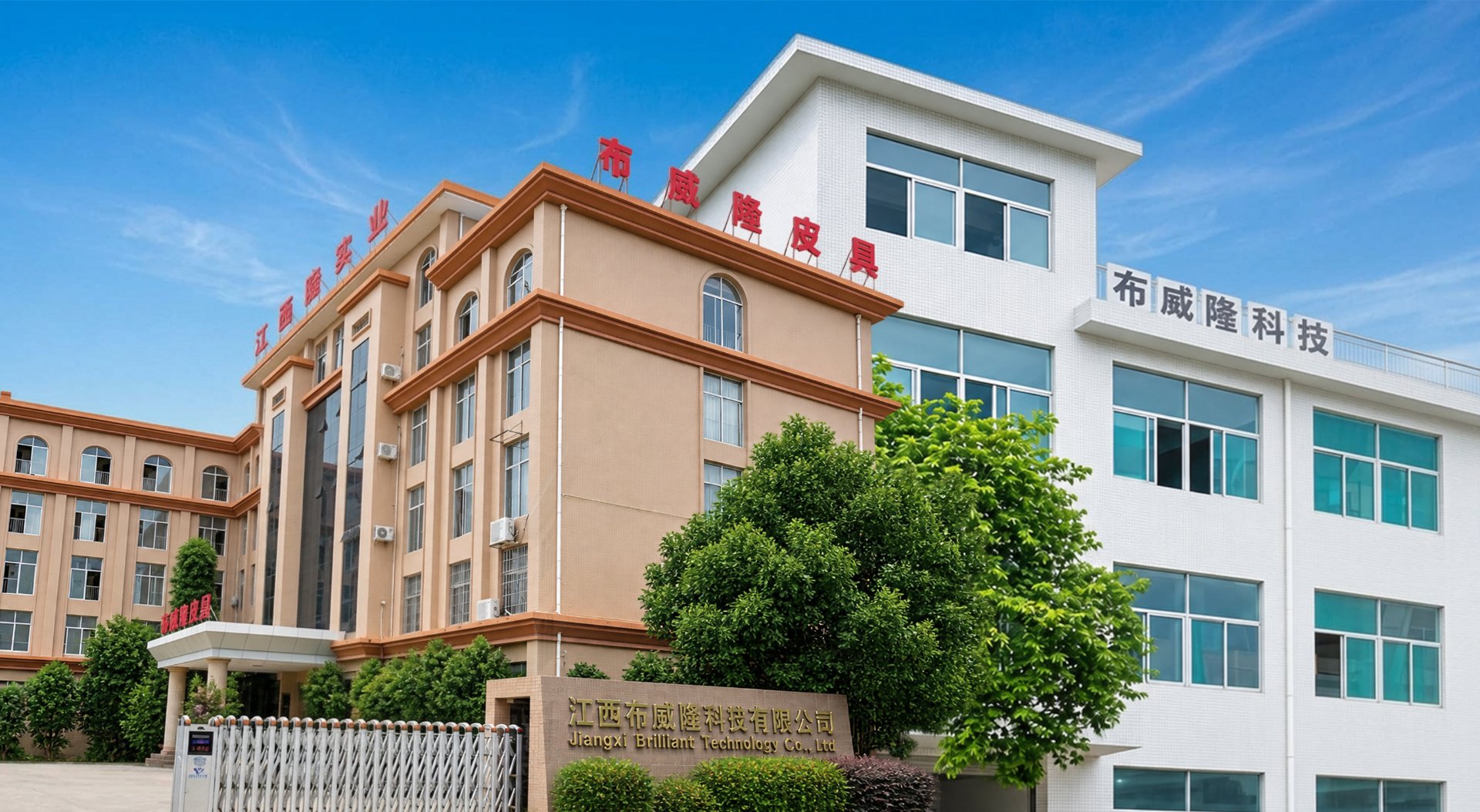 Jiangxi Brilliant Technology factory building